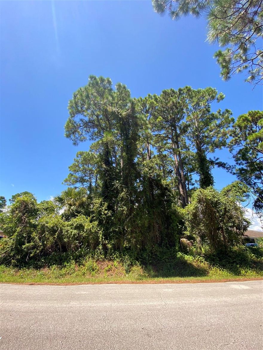 Perfect opportunity to build an investment property, live in half rent the other half. Or build multi family and sell as a whole or two separate units. Many available opportunities here with this lot. Sellers motivated to sell.; Cleared: No