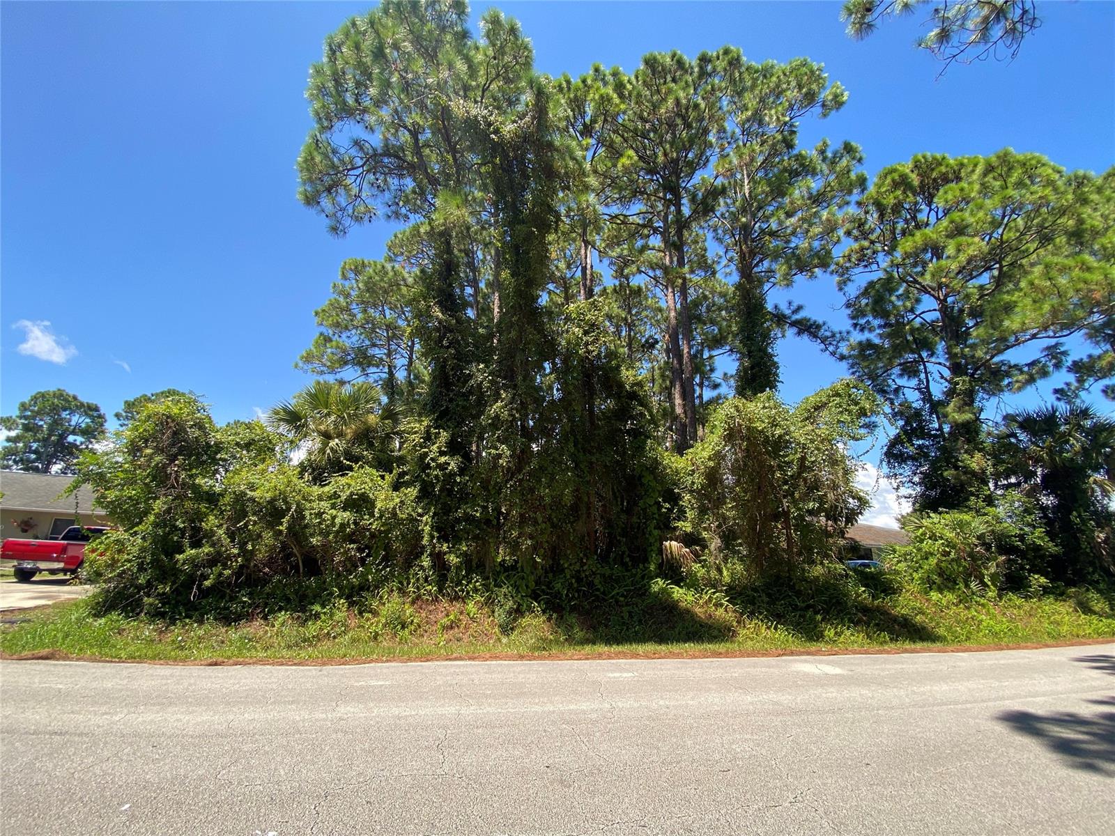 Florida Shores 01 - Land