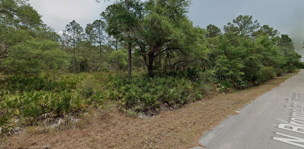 Photo of 9379 N Bromeliad Terrace, Crystal River, FL 34428 (MLS # TB8399515)