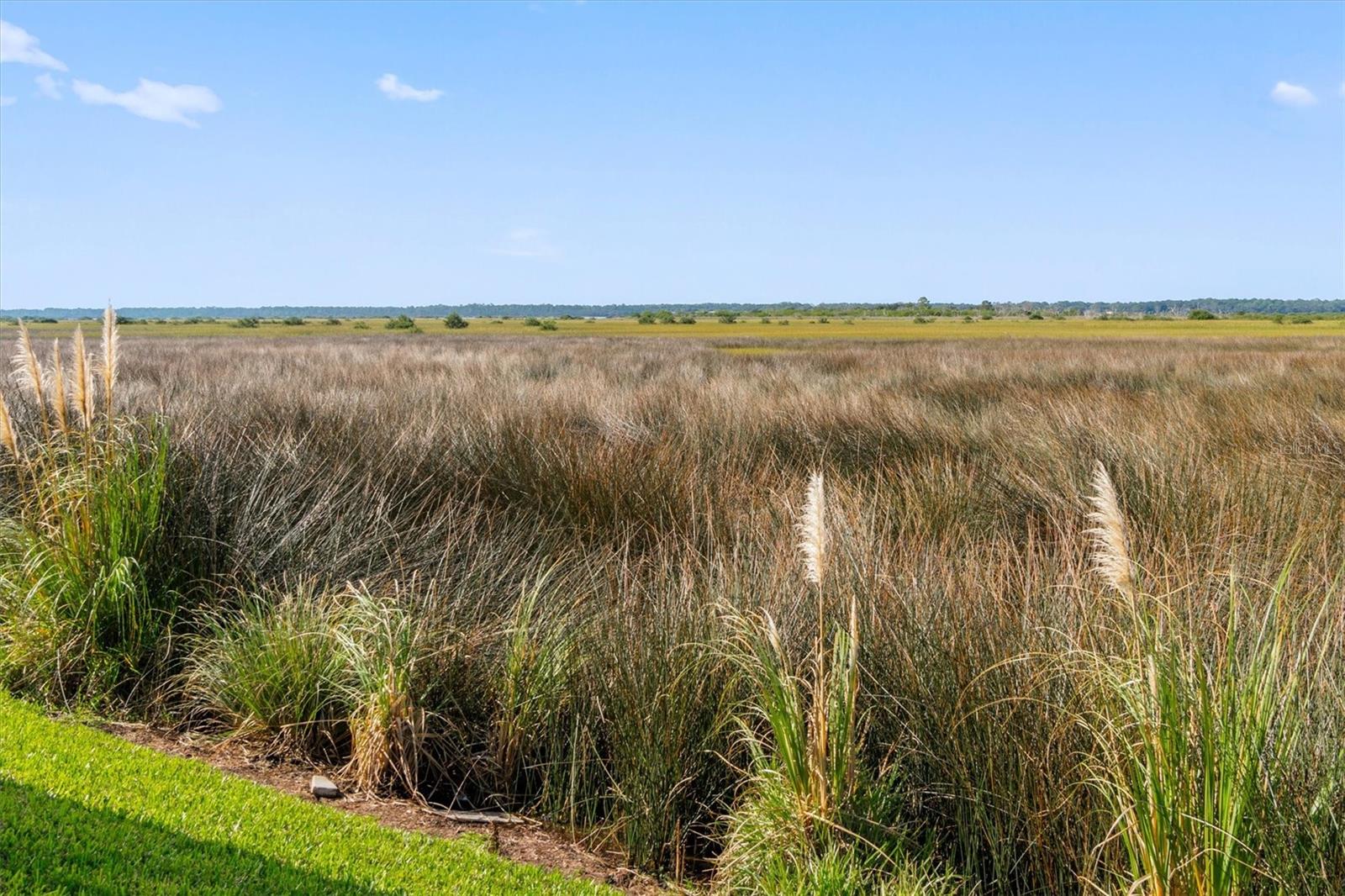 OCEAN TRACE - Residential