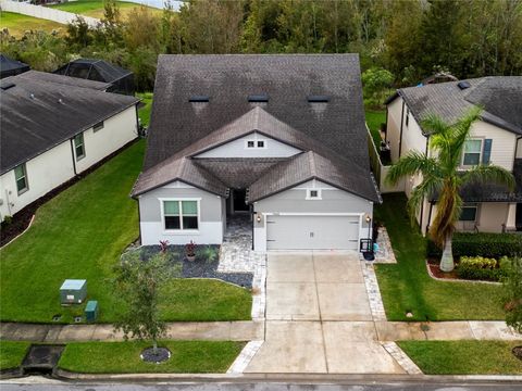 A home in WESLEY CHAPEL