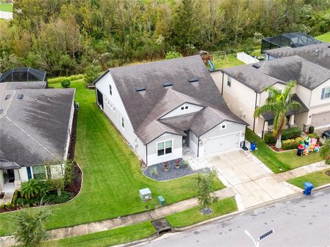 A home in WESLEY CHAPEL