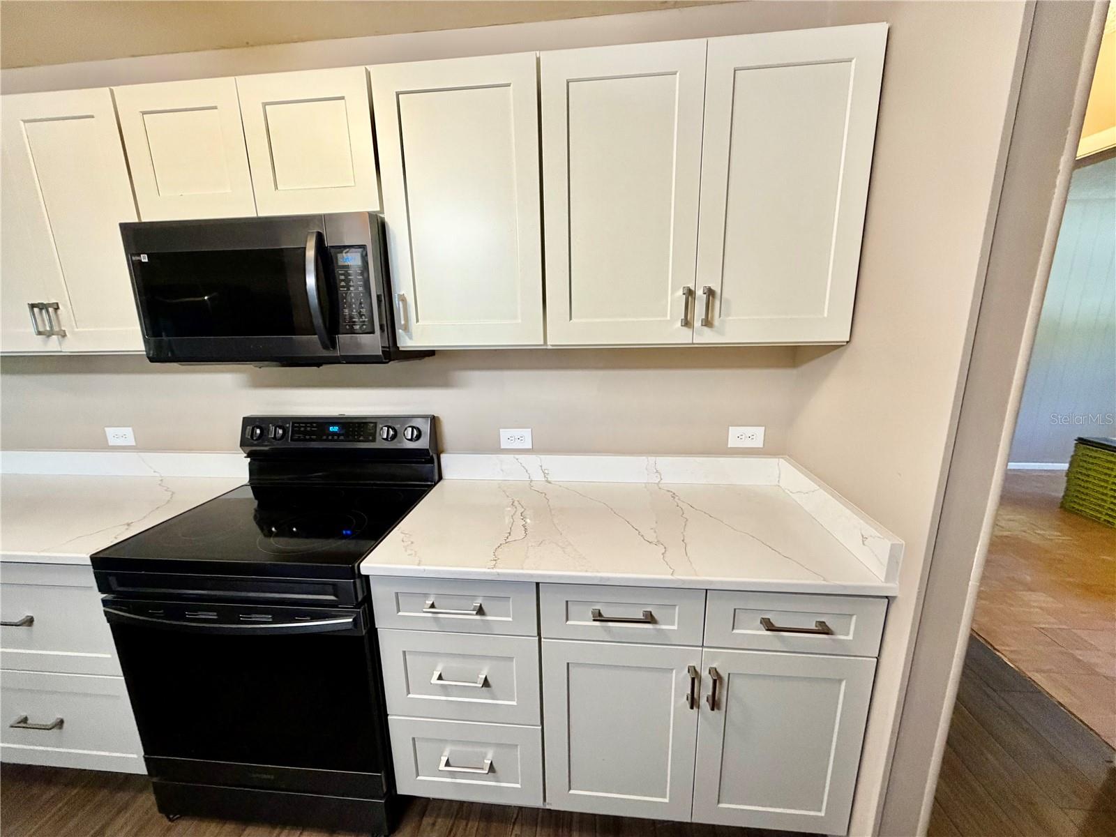 TAVARES LAKEWOOD PARK - Residential