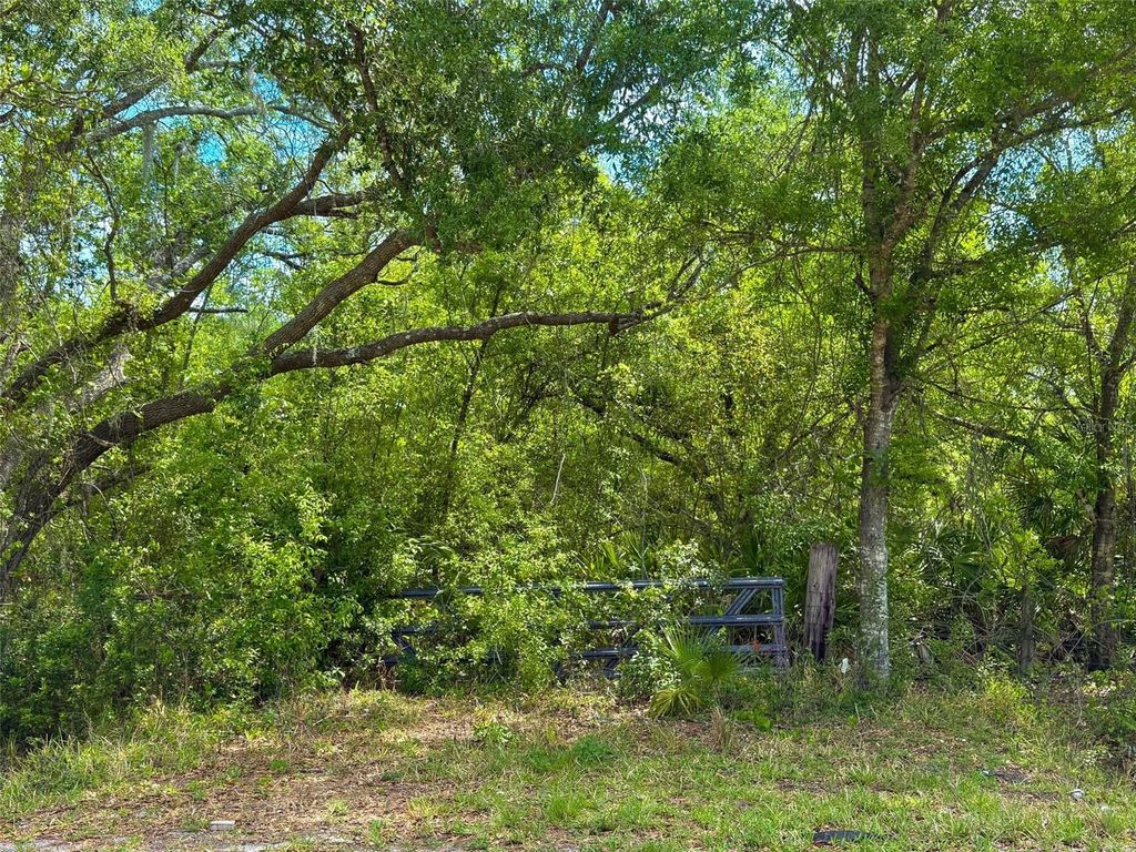 Photo of 1210 NW Eucalyptus Avenue, Arcadia, FL 34266 (MLS # C7524180)