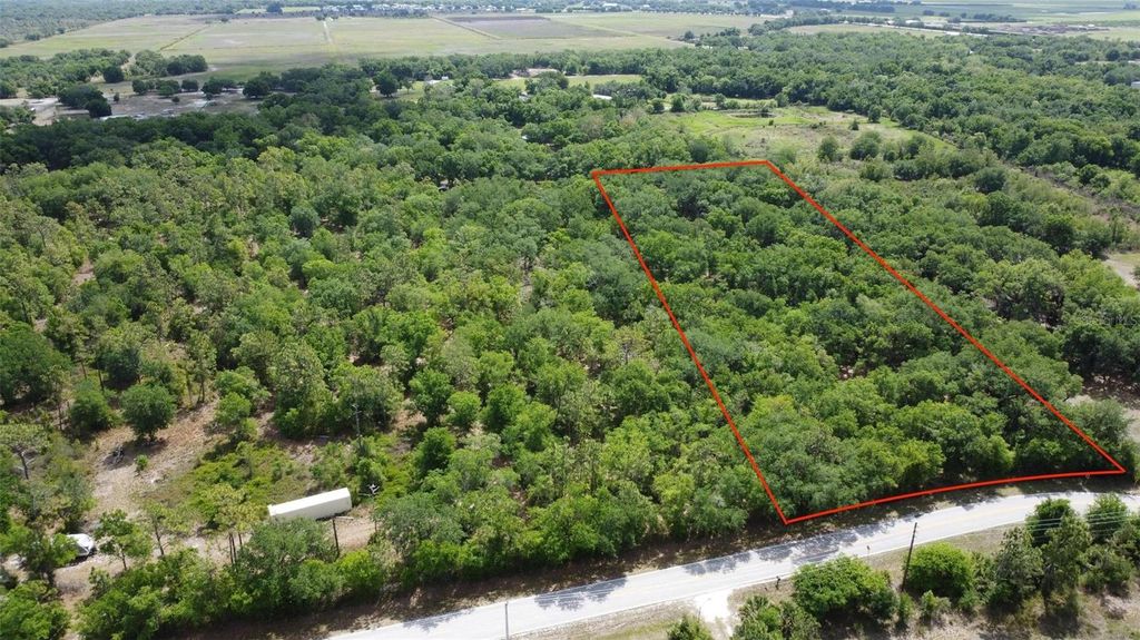 Photo of 1210 NW Eucalyptus Avenue, Arcadia, FL 34266 (MLS # C7524180)