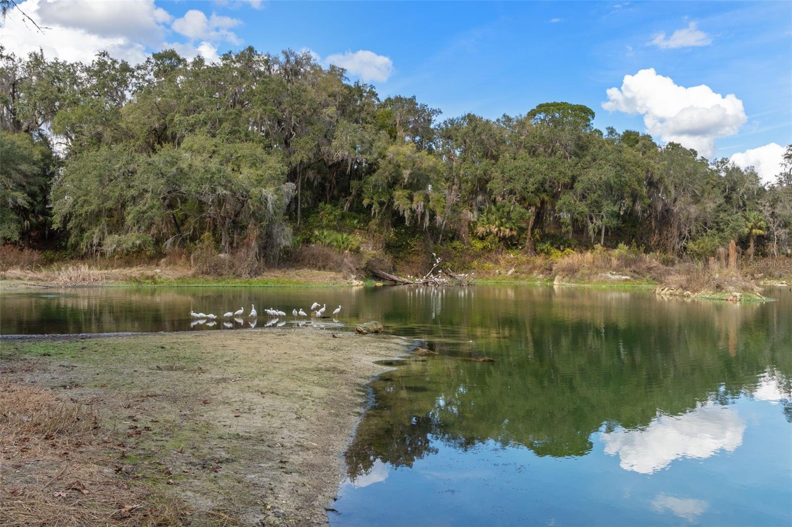 CANTERBURY LAKE ESTATES - Residential