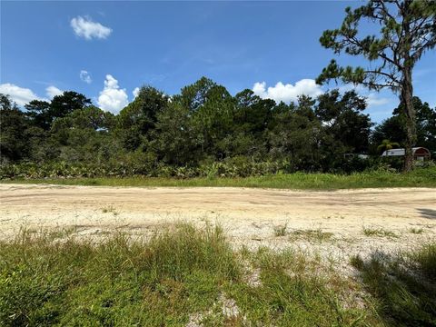 60 FYFE AVENUE DEBARY FL 32713