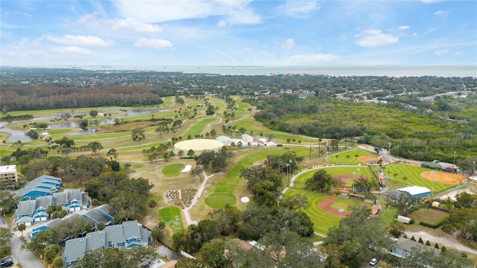 GREEN DOLPHIN PARK VILLAS CONDO - Residential