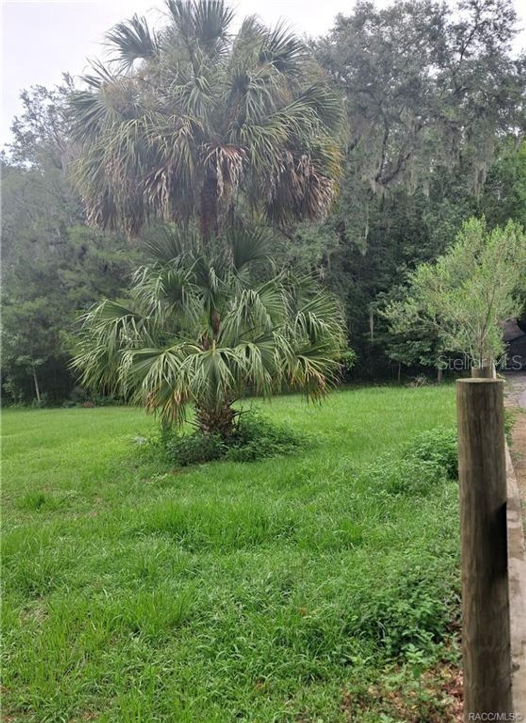 Photo of 130th Street, Belleview, FL 34420 (MLS # W7881782)