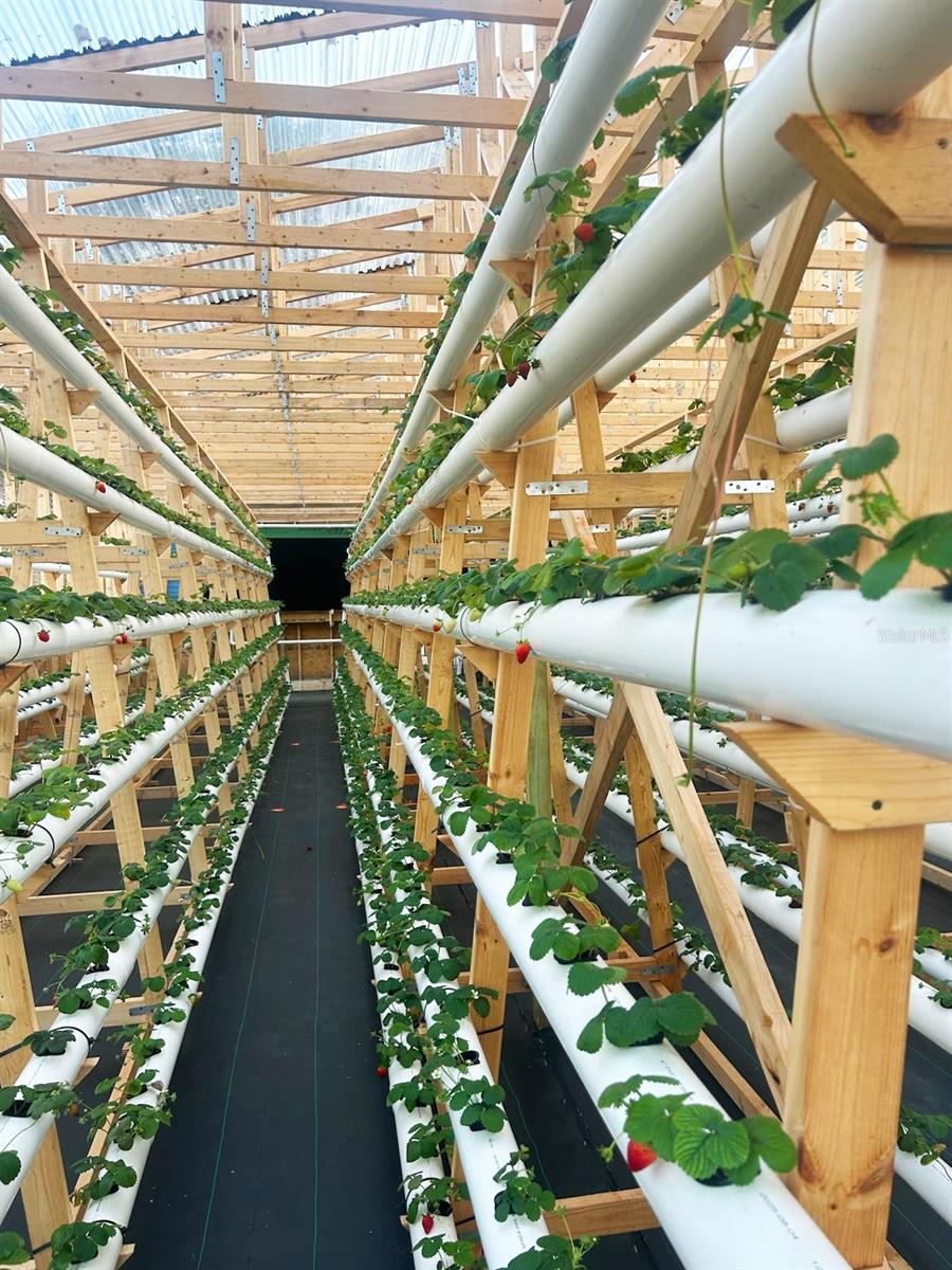 3510 WALK IN WATER ROAD