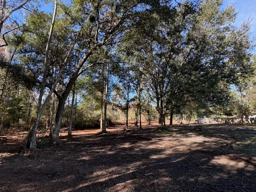 Photo of Hammock Loop, Polk City, FL 33868 (MLS # B4902134)