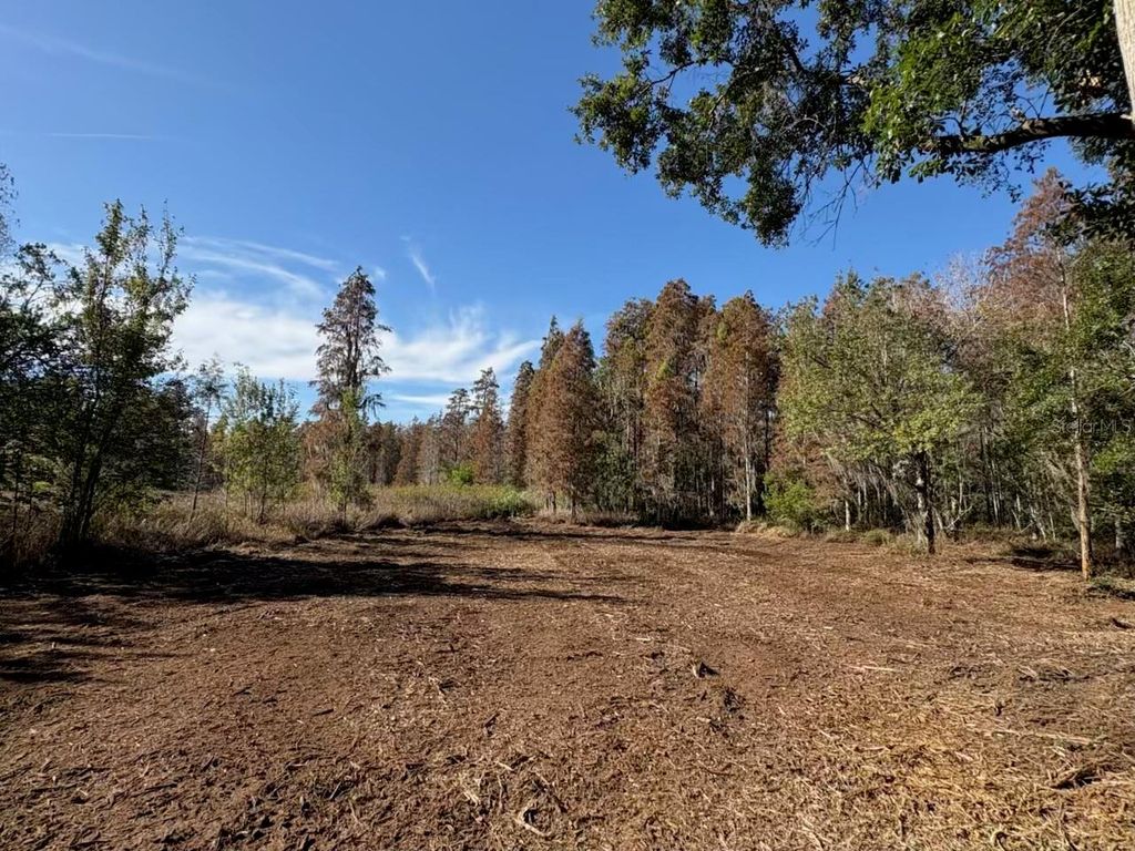 Photo of Hammock Loop, Polk City, FL 33868 (MLS # B4902134)