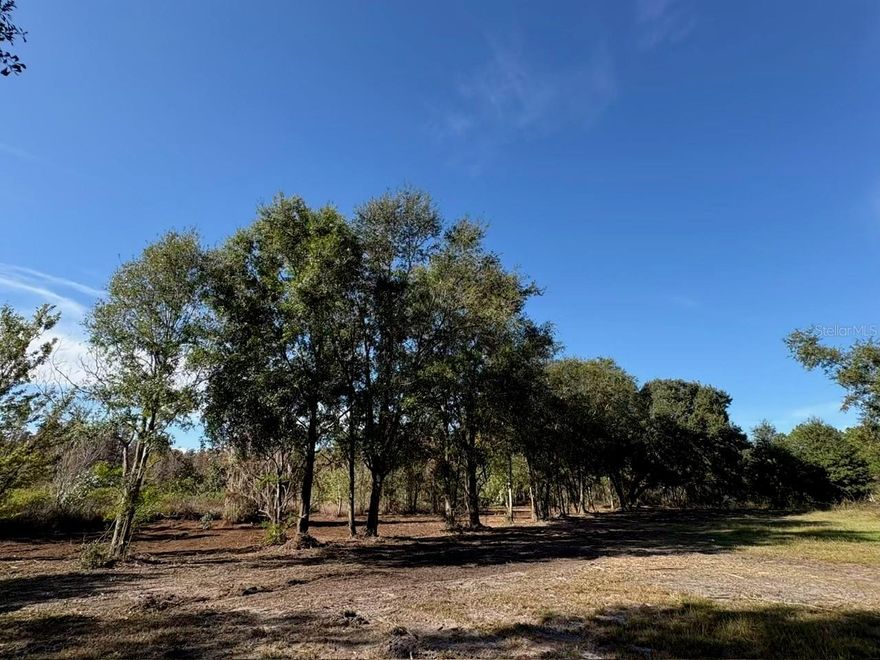 Discover the perfect blend of country living and convenience with this fantastic 2.28-acre vacant land in Central Florida on a quiet cul-de-sac, offering a peaceful, low-traffic setting that’s perfect for fostering a sense of community.  Enjoy ample space for your vision, whether you want to build now or later. This land is ideal for your choice of a site-built or a mobile home residence, giving you flexibility in your building plans. Bring your boats and RVs! There's plenty of room to store your toys and enjoy the great outdoors. Nestled in a tranquil setting, this property offers peaceful surroundings, while being near some of the most popular attractions in the area, including Disney World, LEGOLAND, and Busch Gardens. Experience country living without sacrificing access to shopping, dining, and essential amenities. This property is perfect for families looking for a peaceful retreat or investors seeking land in a thriving area. This is more than just vacant land; it’s an opportunity to create your own paradise in Central Florida! Best of all no HOA!! Don’t miss your chance to own this beautiful piece of property