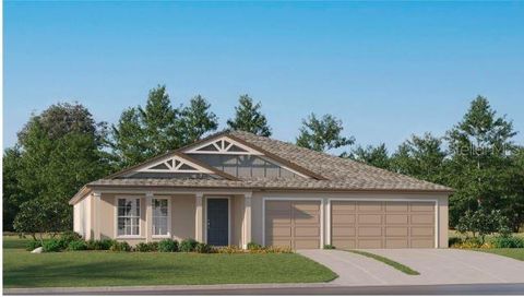 15251 RAINBOW QUARTZ STREET WIMAUMA FL 33598