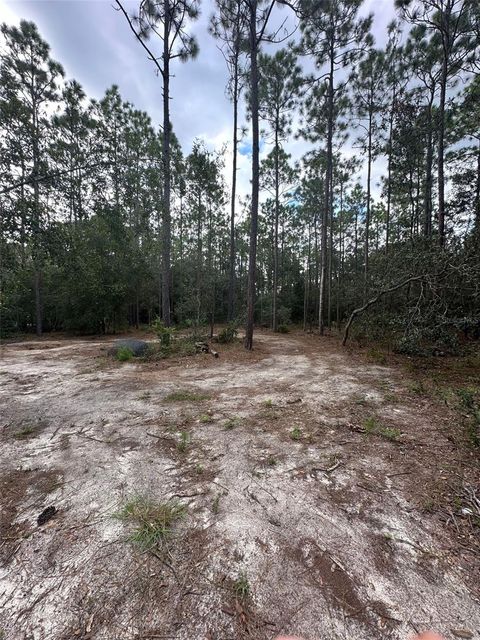 A home in DUNNELLON