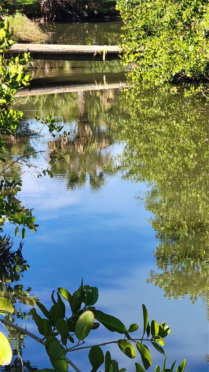 BRADBURYS RIVERMOOR - Land