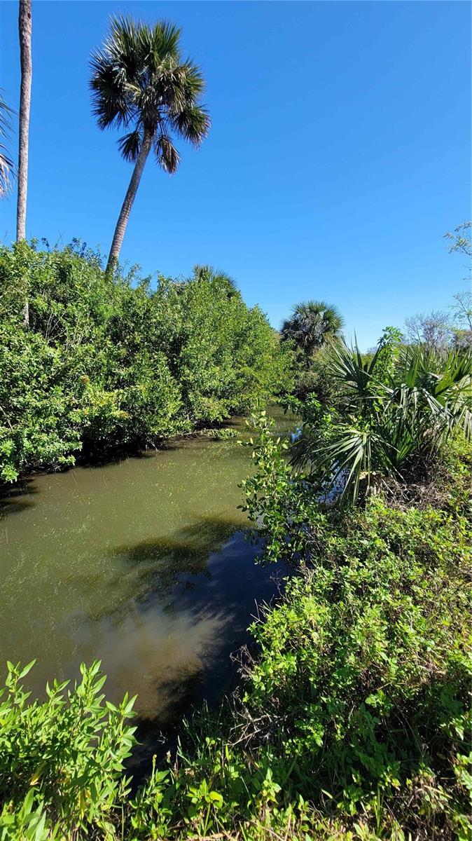 BRADBURYS RIVERMOOR - Land