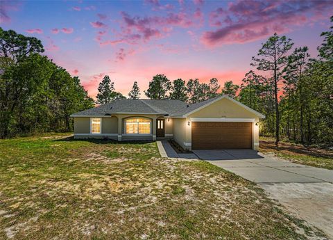 Photo of 12276 Snow Goose Avenue, Brooksville, FL 34614 (MLS # TB8493017)