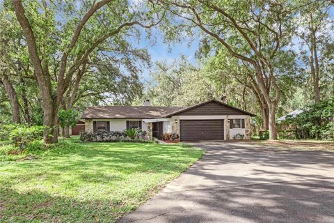 A home in FRUITLAND PARK