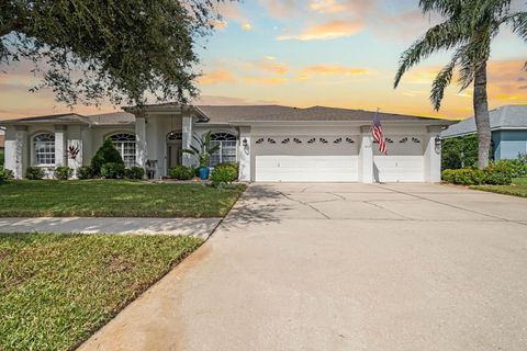 Photo of 3607 Gaviota Drive, Sun City Center, FL 33573 (MLS # O6349377)