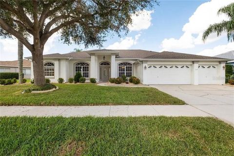 Photo of 3607 Gaviota Drive, Sun City Center, FL 33573 (MLS # O6349377)