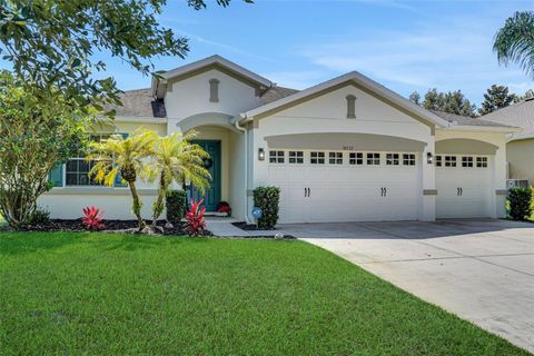 30532 GIDRAN TERRACE MOUNT DORA FL 32757