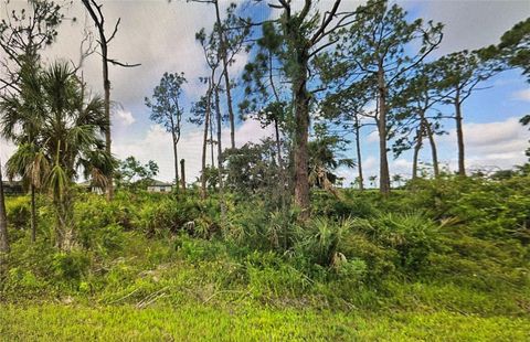 15461 WYANDOTTE AVENUE PORT CHARLOTTE FL 33953