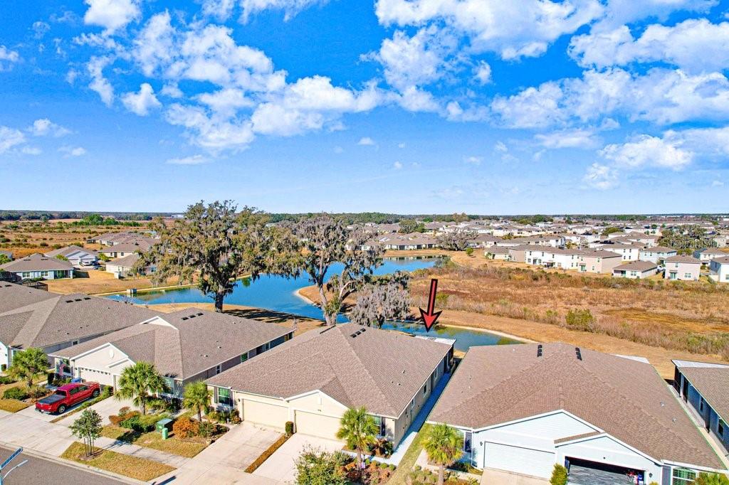 31425 MANGO FADE WAY