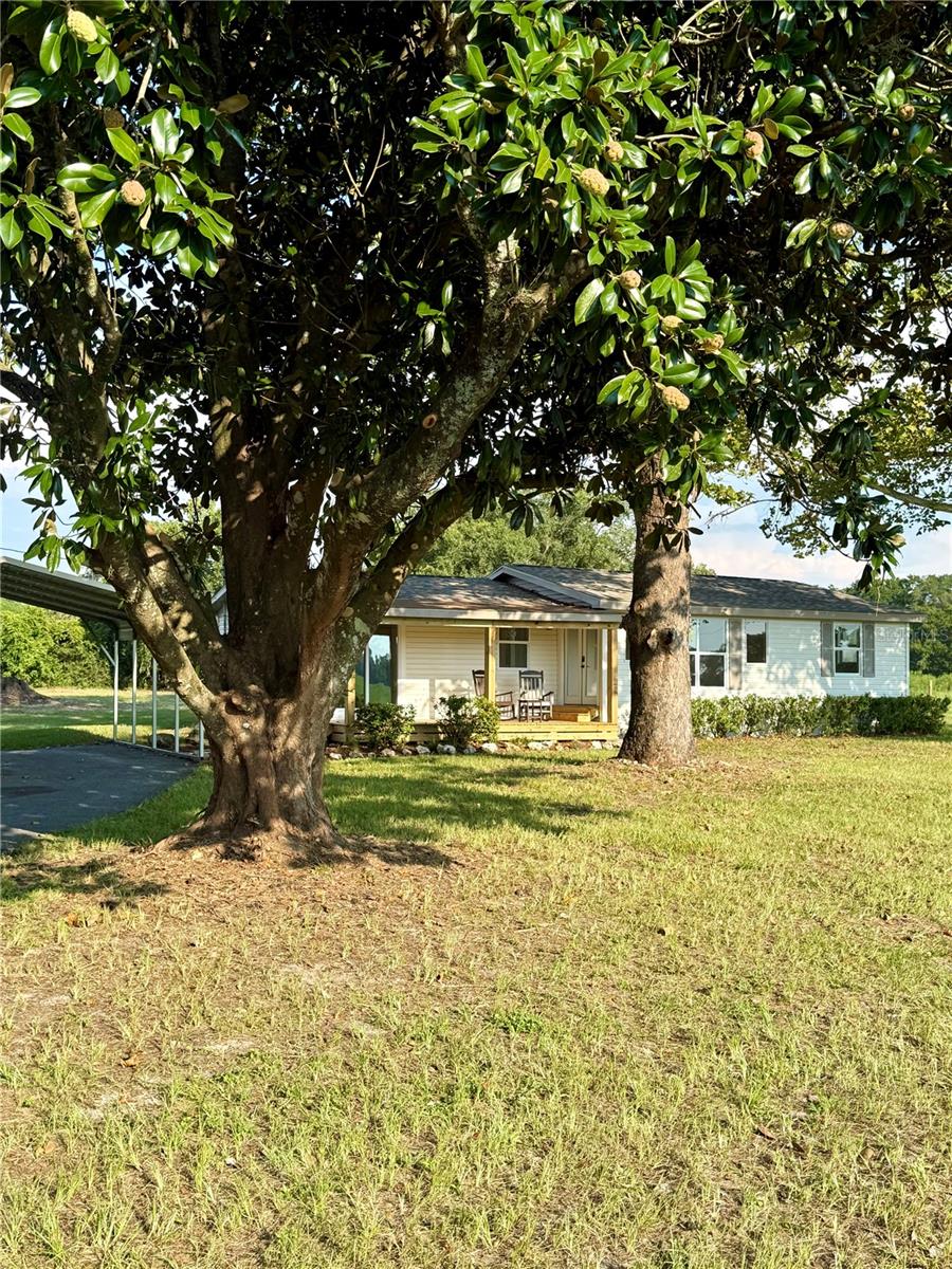 Discover country-style living with this 1.5-acre mini-farm. Located on a quiet street only a mile off of Highway 200 in Ocala, this fully fenced and gated property is perfect for those seeking the equestrian lifestyle or for those looking to settle down. This 3/2 home (1,154 sqft) has every modern amenity: granite countertops, luxury vinyl plank flooring, updated tiled bathrooms, brand new light fixtures, and more! —The home also features covered front and back porches, so bring your rocking chairs and enjoy the sunset every evening from your front porch, or enjoy the shade from one of the home’s gorgeous sycamore trees. The property also comes with a large carport, a 2021 roof, and a spacious utility shed. Get your piece of the Ocala dream before it’s gone!