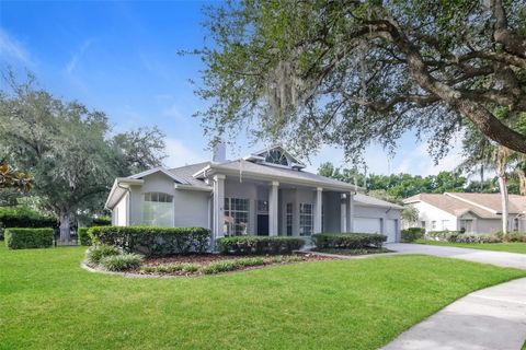 3810 SPRUCE PINE DRIVE VALRICO FL 33596