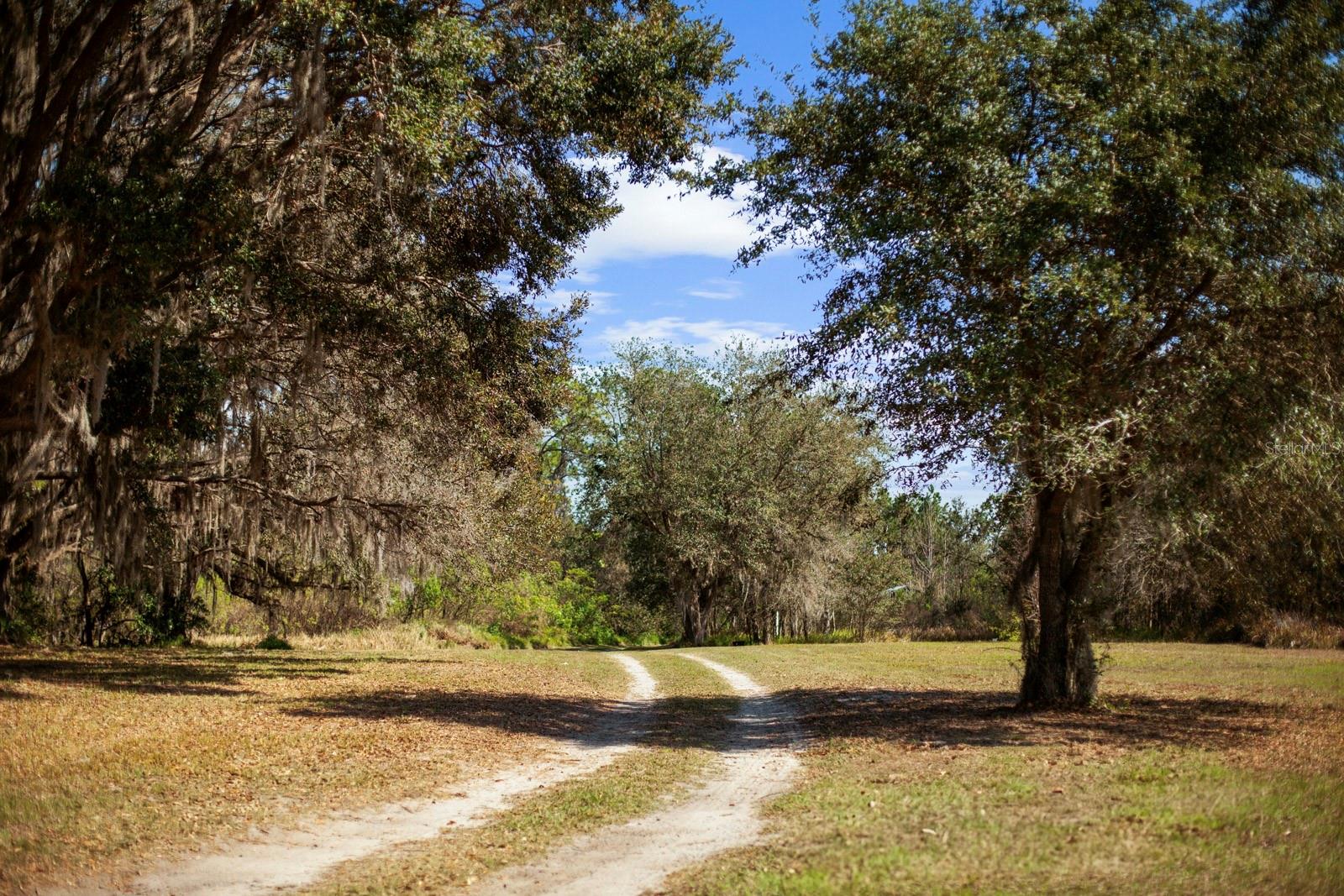 8122 PINE ISLAND ROAD