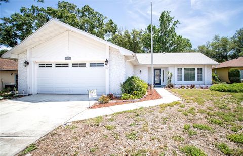 Photo of 1647 Bentley Court, Palm Harbor, FL 34684 (MLS # TB8510446)
