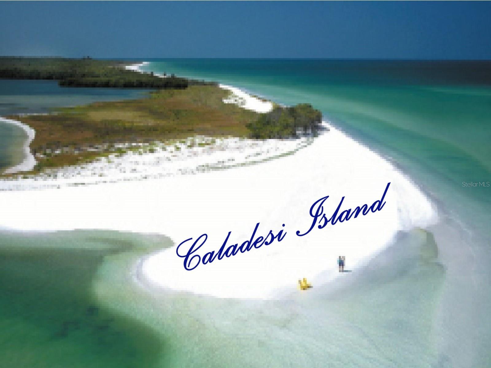 ISLAND PARK PL - Residential