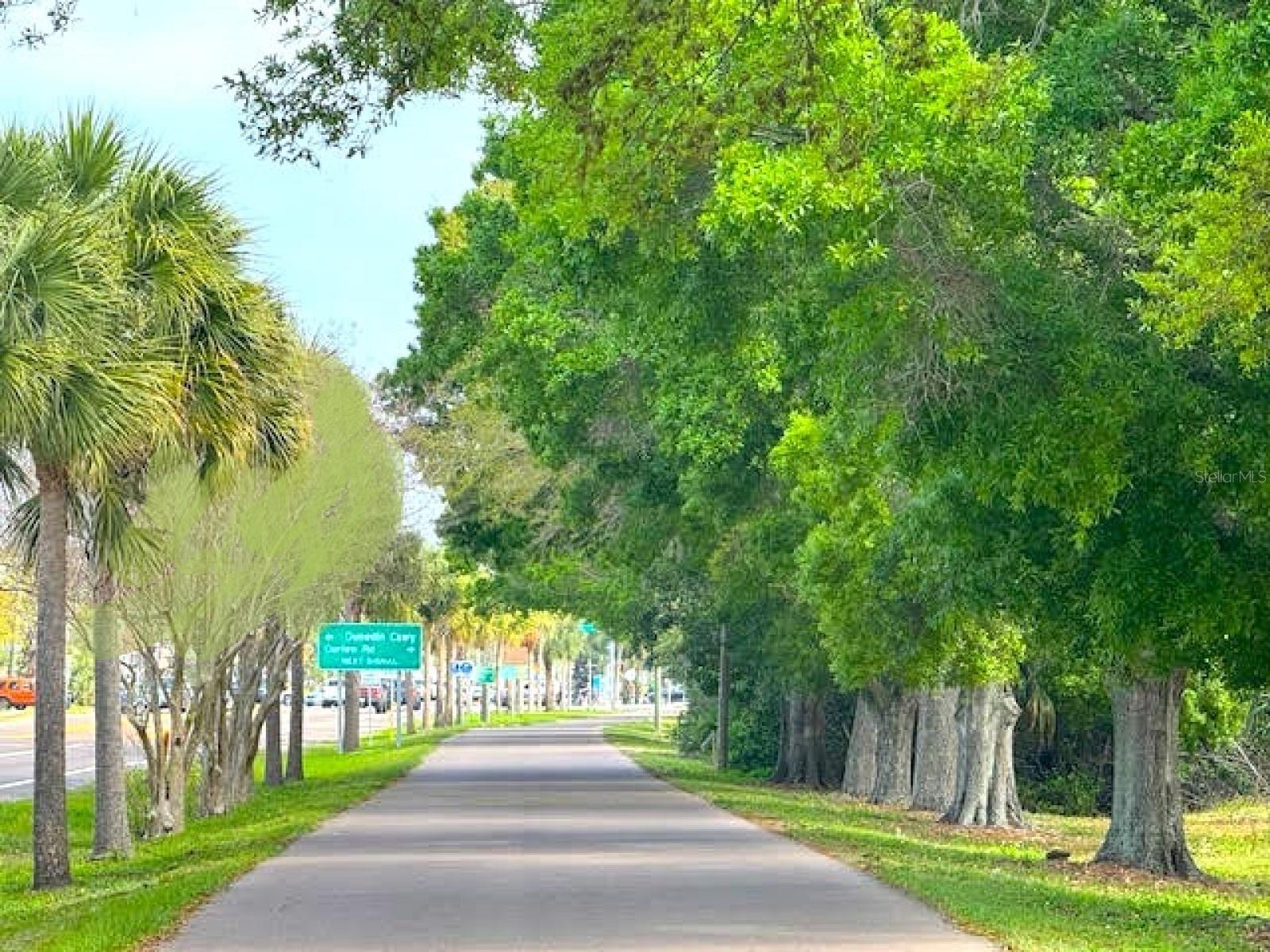 ISLAND PARK PL - Residential