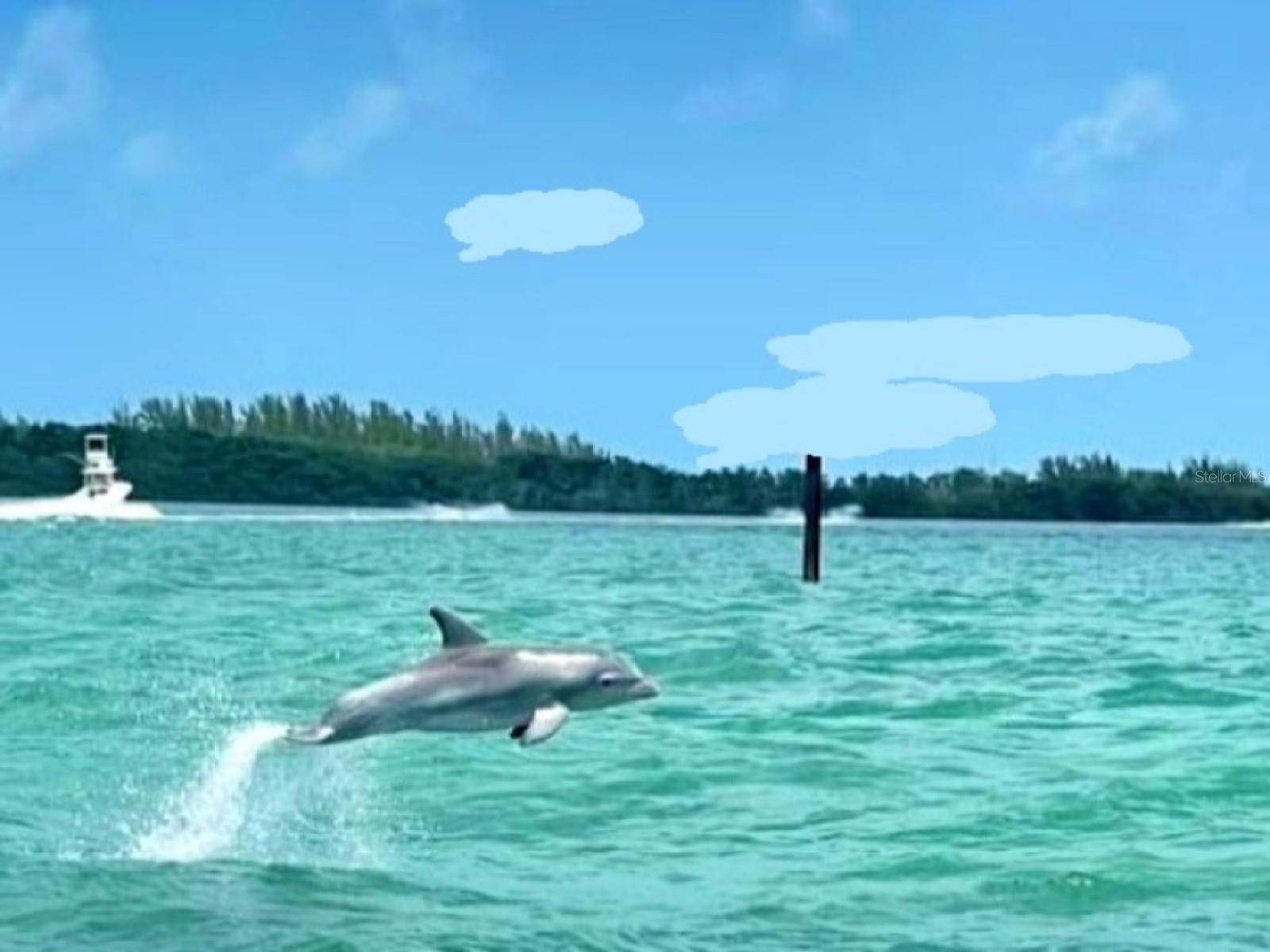 ISLAND PARK PL - Residential