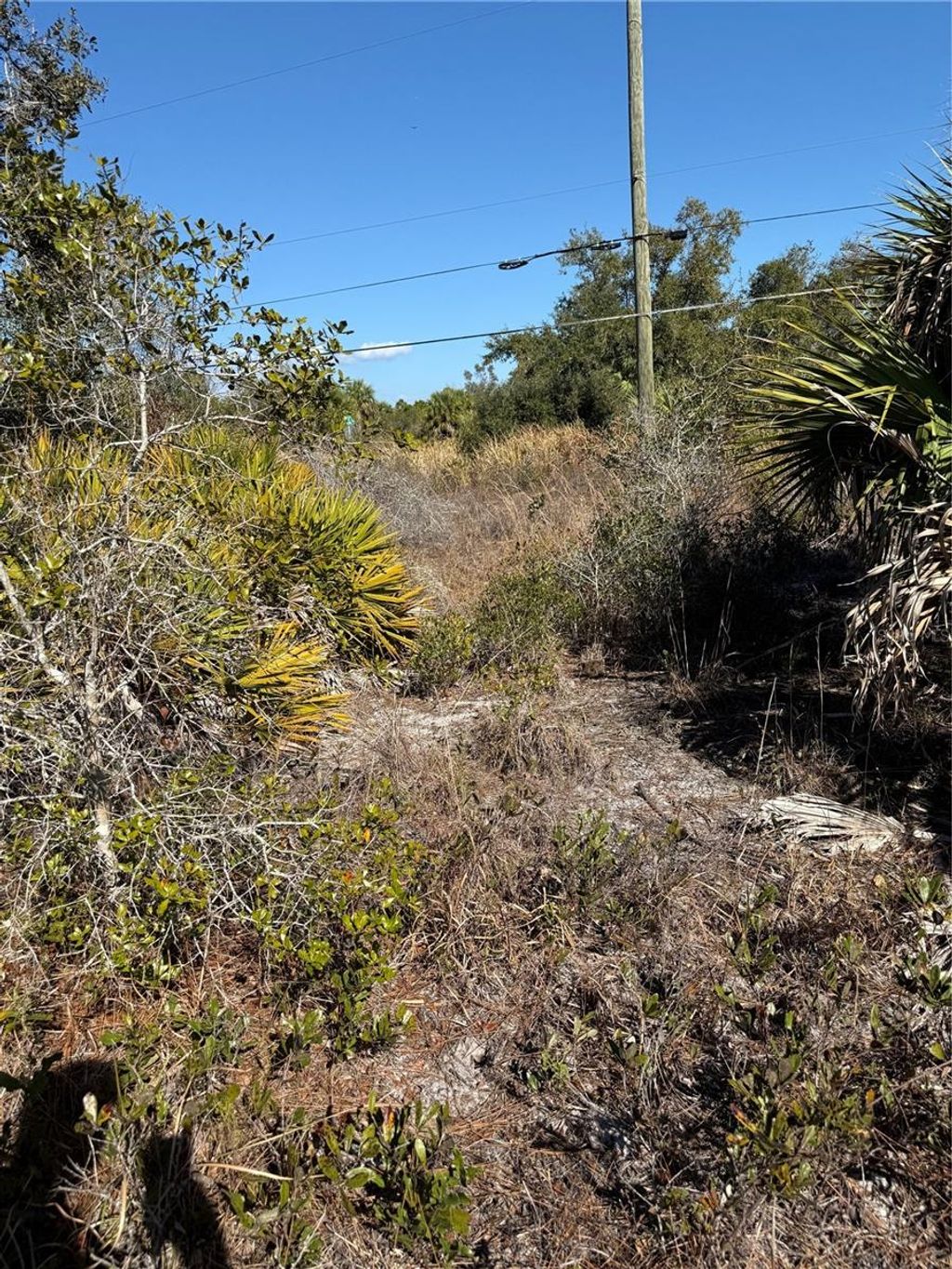Photo of Port Charlotte, FL 33953 (MLS # C7523396)