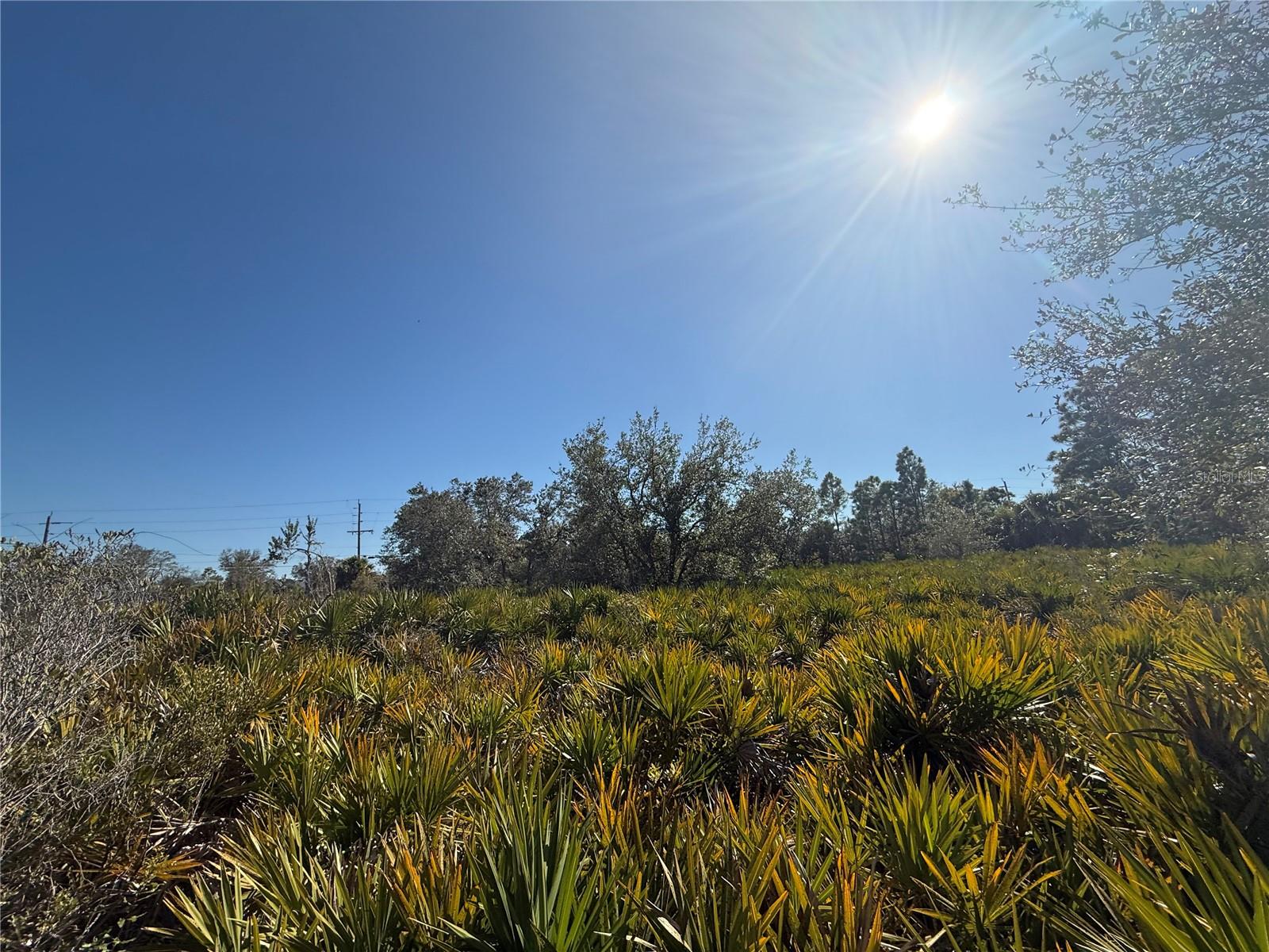 PORT CHARLOTTE SEC 049 - Land