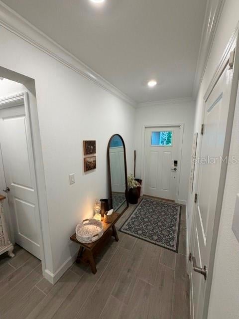 16919 FORGE SURF STREET