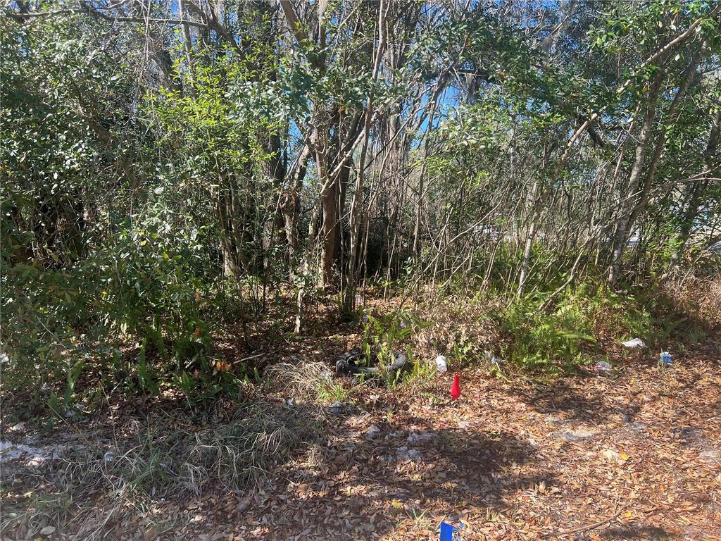 Photo of 0 Stinson Street, Leesburg, FL 34748 (MLS # G5108786)