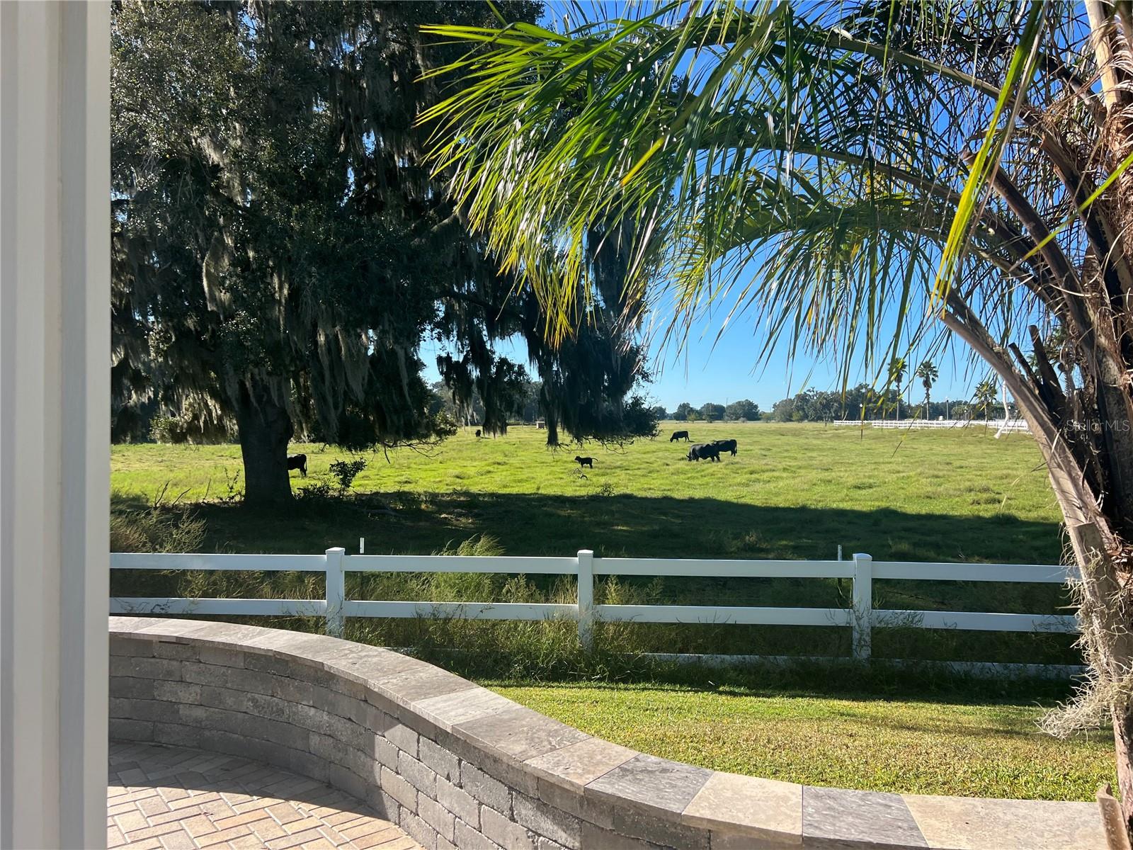 FLORIDA GRANDE MOTOR COACH RESIDENCE - Land