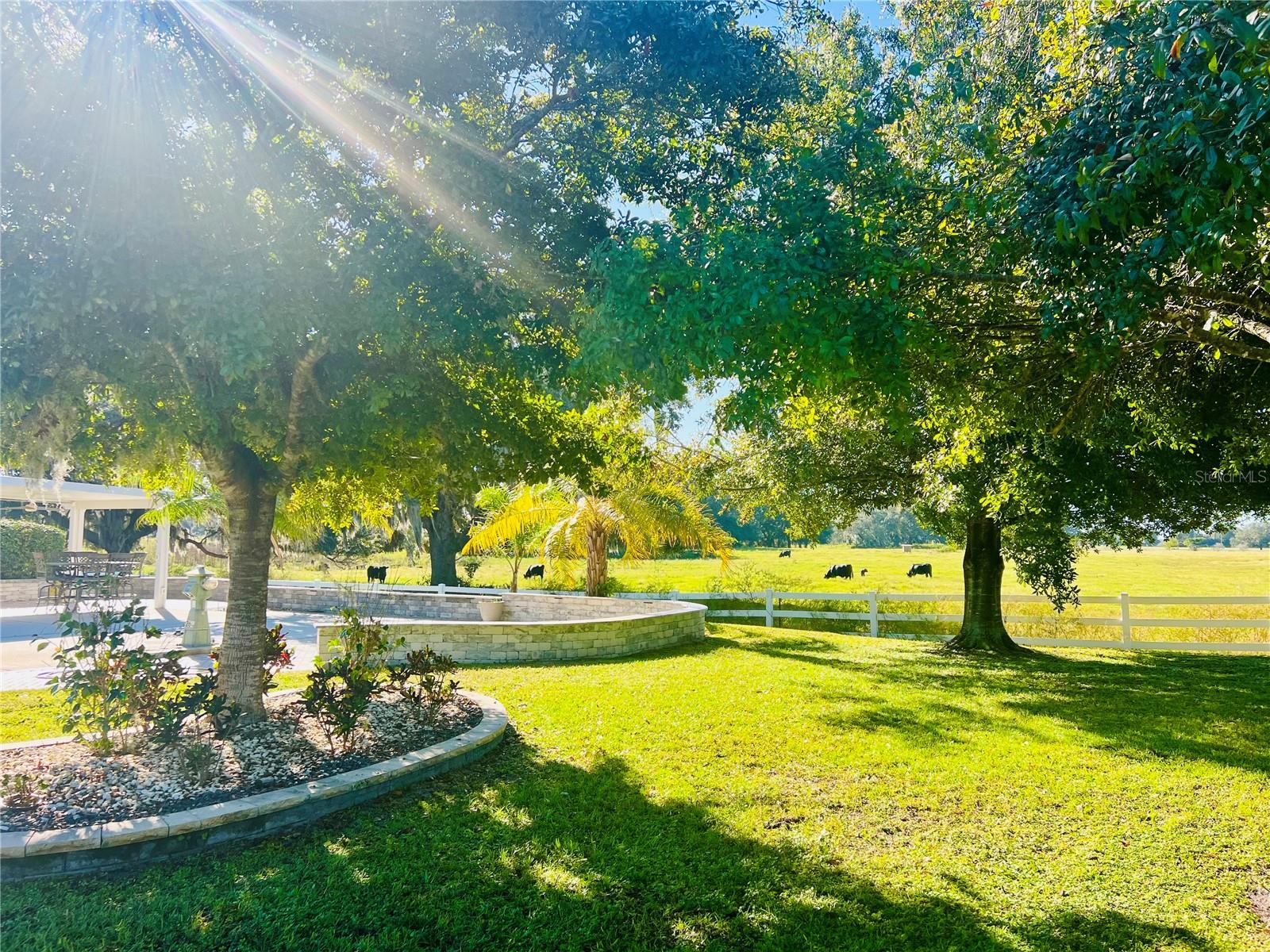 FLORIDA GRANDE MOTOR COACH RESIDENCE - Land