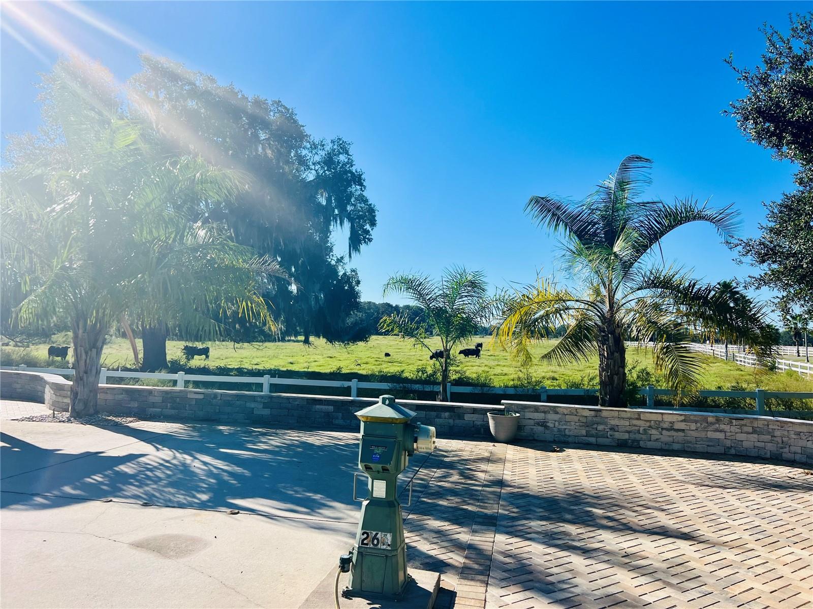 FLORIDA GRANDE MOTOR COACH RESIDENCE - Land