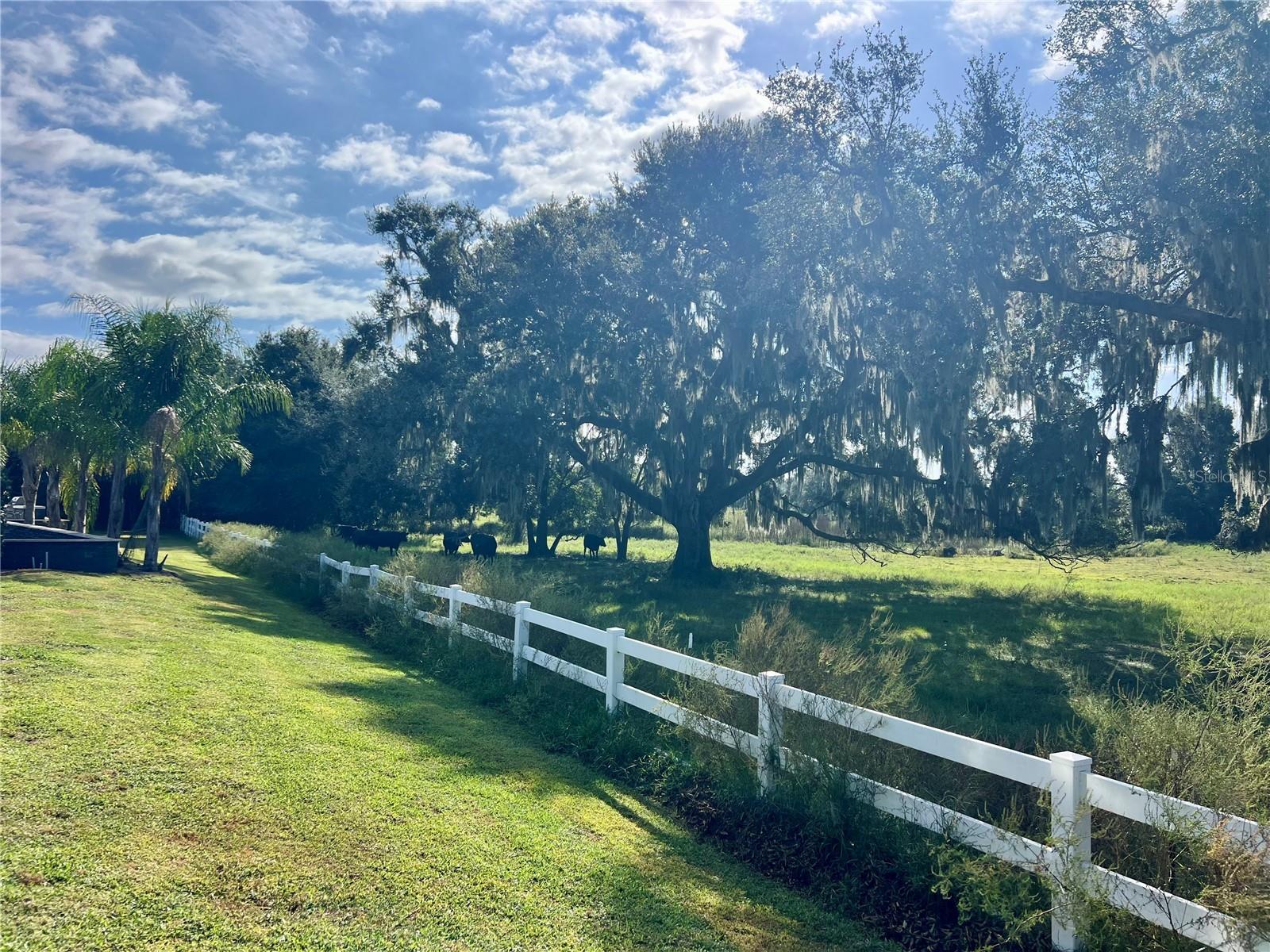 FLORIDA GRANDE MOTOR COACH RESIDENCE - Land