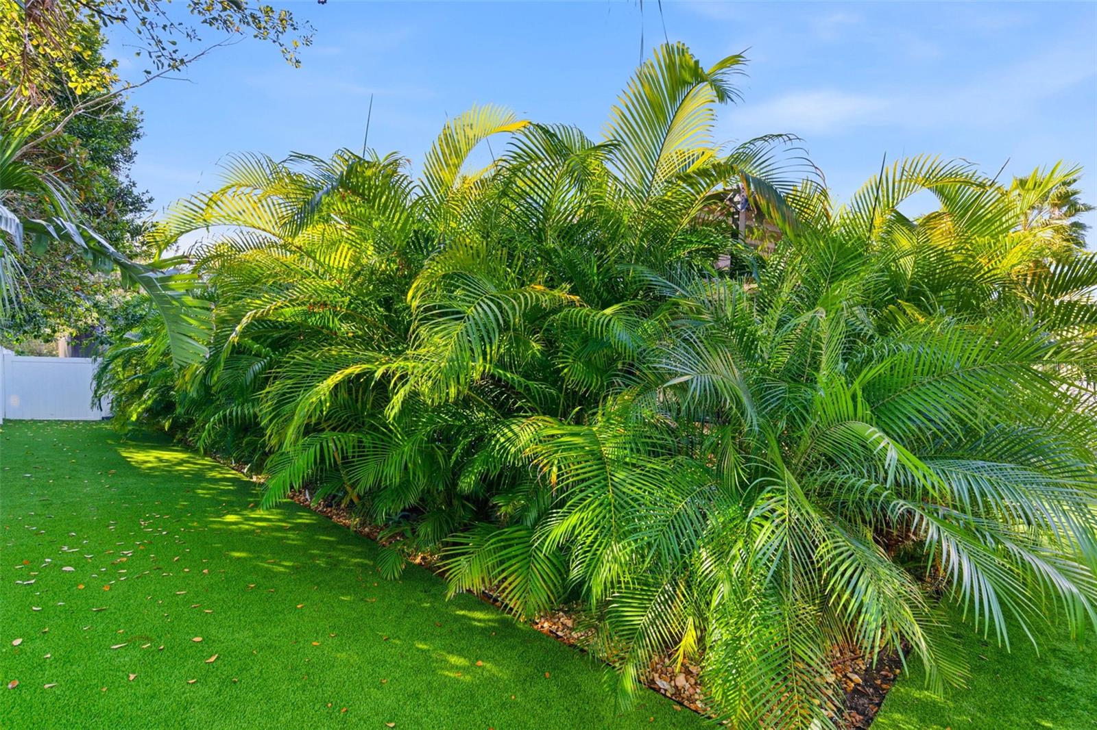 MANORS AT FOREST GLEN - Residential