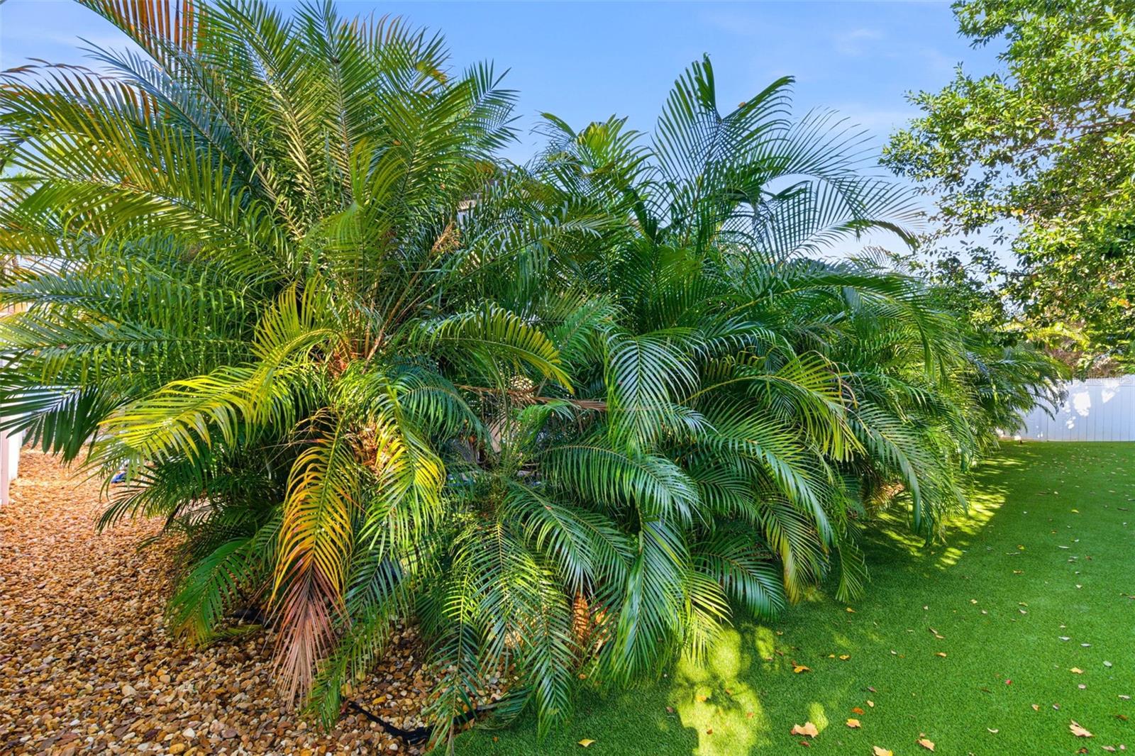 MANORS AT FOREST GLEN - Residential