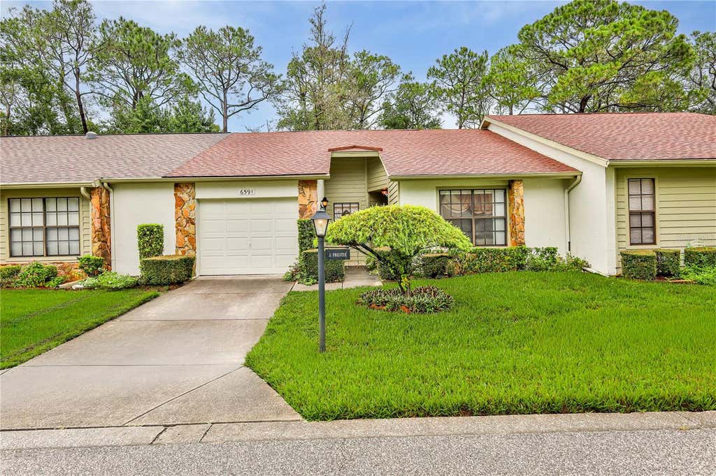 Photo of 6591 Brambleleaf Drive, Spring Hill, FL 34606 (MLS # W7888045)