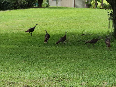 A home in WEEKI WACHEE