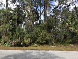 Buildable lot in up and coming North Port. North Port is a growing community with the Tampa Bay Rays Stadium minutes away in Port Charlotte or the Atlanta Braves training Stadium right here in North Port. You will be close to shopping, hospital, North Port ER, schools and parks. This lot could be the perfect place for your dream home.