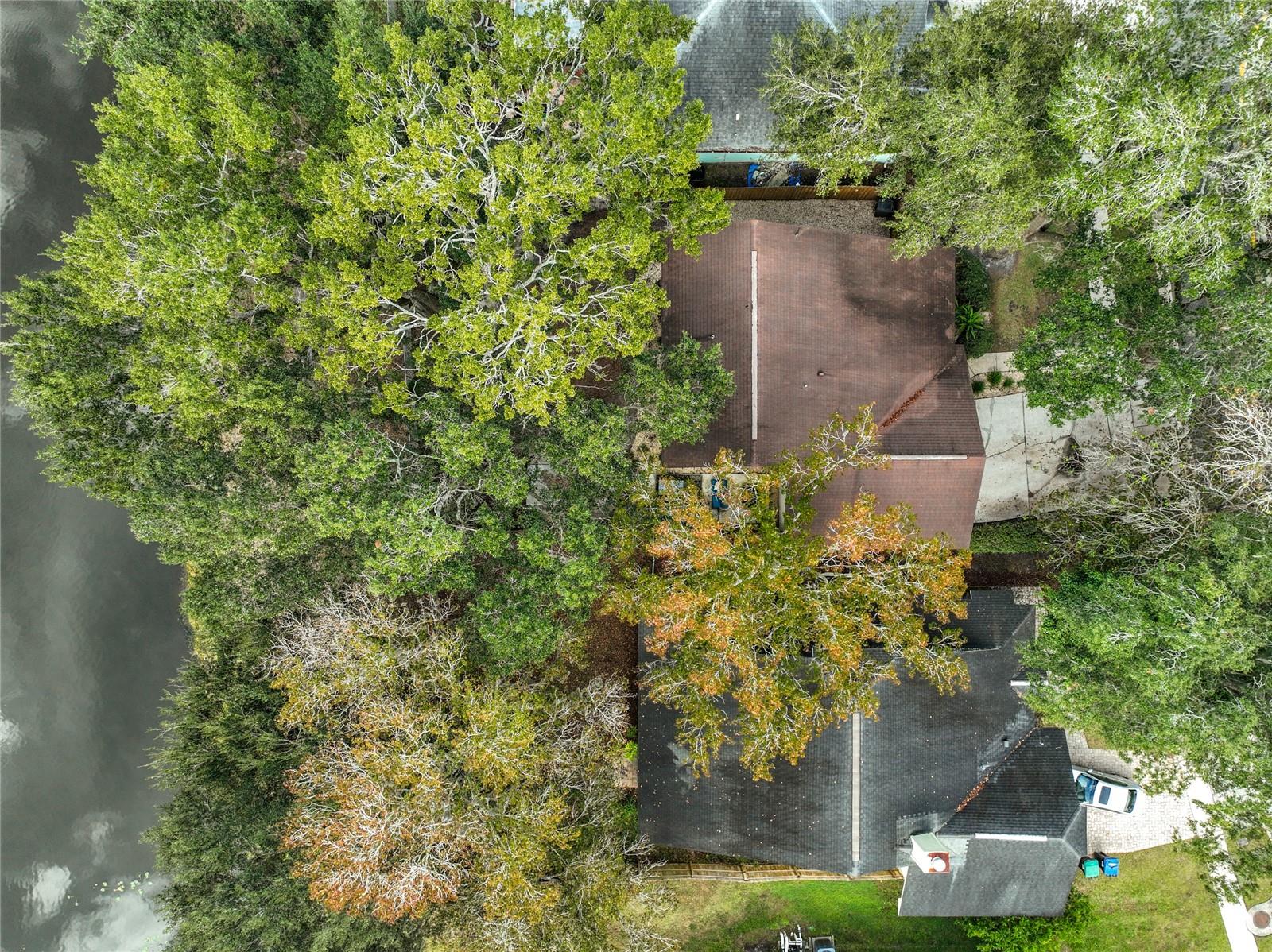 CURRY FORD WOODS - Residential