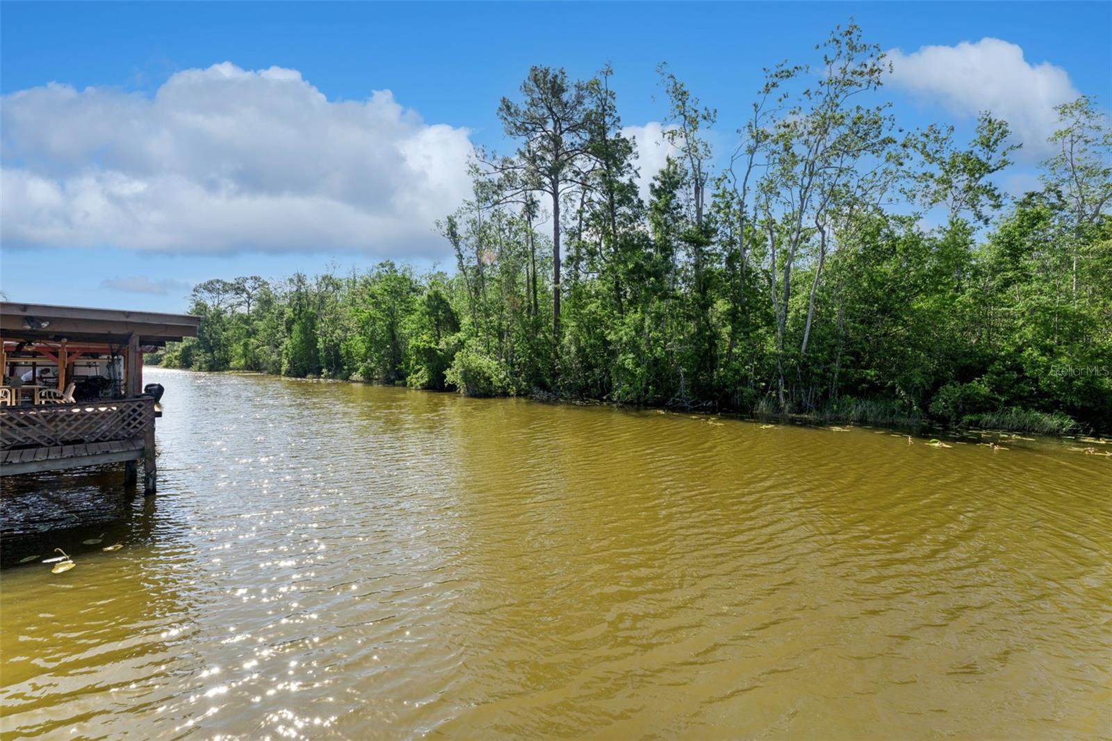 LAKE HARRIS SHORES UN #1 - Residential